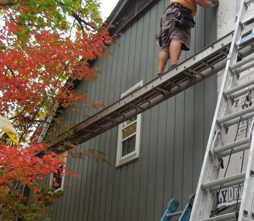 Cedar siding in Rolling Meadows project photo 2