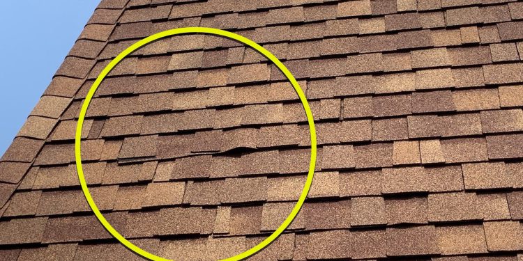 Shingle roof repairs after hail damage in Hinsdale project photo 6