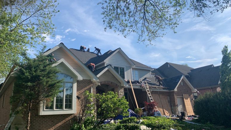 Shingle roof replacement in Willowbrook project photo 4
